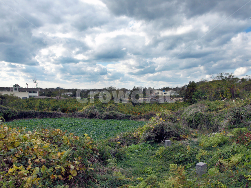 낙천잣길,돌담,올레13코스,올레길,제주,푸른하늘,흰구름,자연,풍경,nature,landscape,outdoors,옥외
