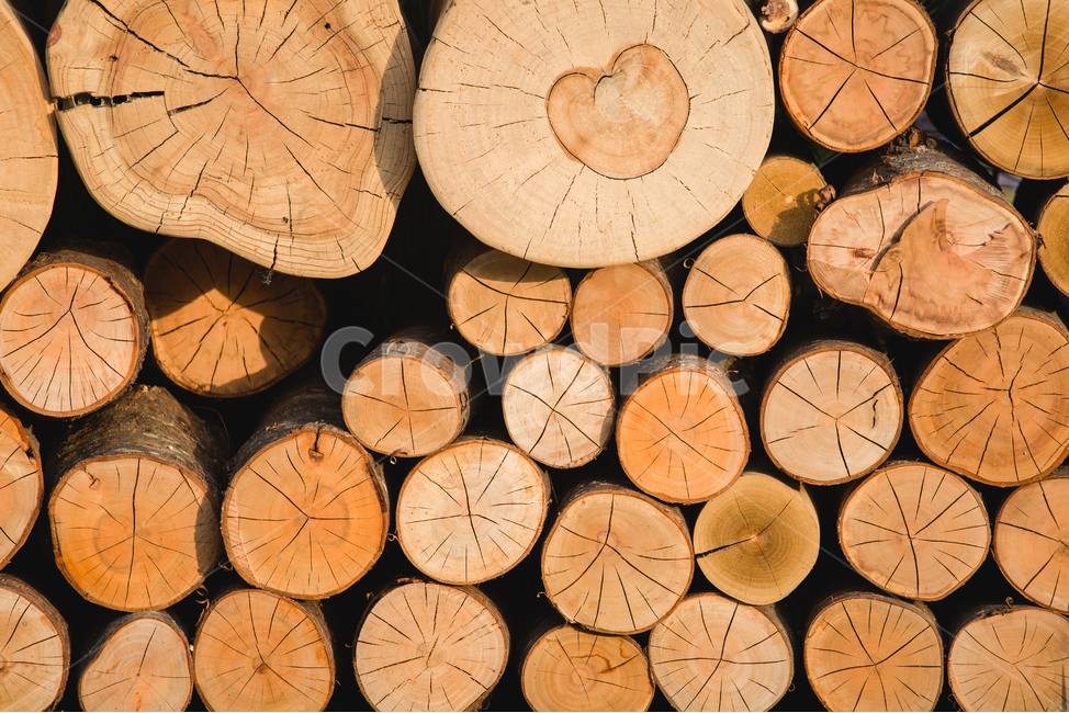 wood,나무,lumber,재목,패턴,texture,pattern,장작
