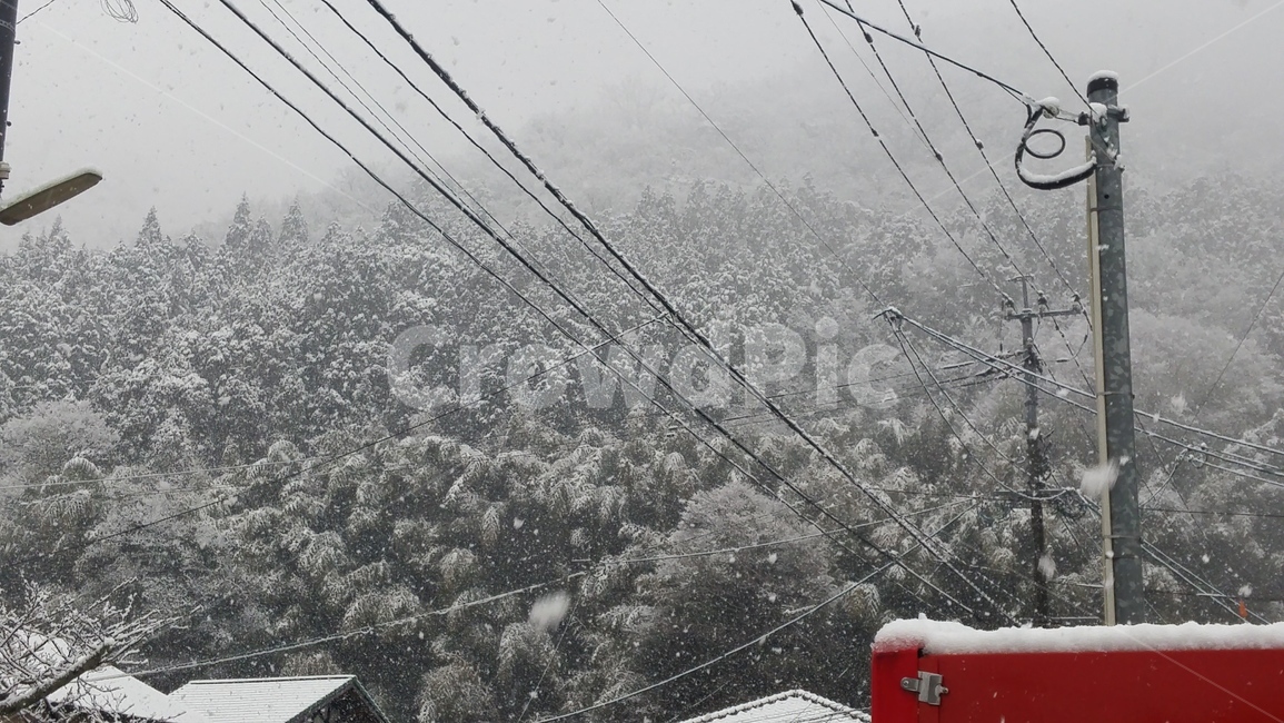 설산,눈덮인산,함박눈,일본,겨울,겨울,계절,winter,season,자연,풍경,nature,landscape
