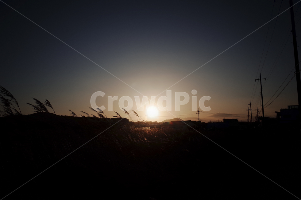 nature,자연,outdoors,옥외,sunset,sunrise,일몰,일출,sky,하늘,해,sun,redsky,붉은하늘,flare,light,빛,sunlight,햇빛