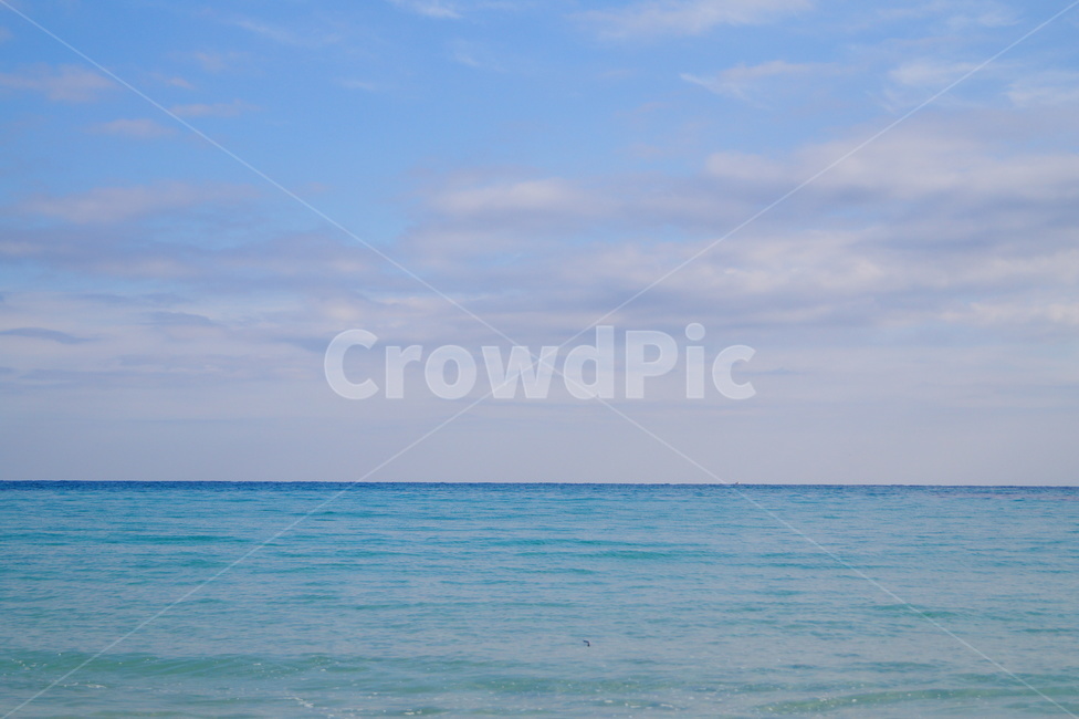 바다,해변,지평선,푸른바다,제주,하늘,ocean,beach,sky,blue,푸른,파란