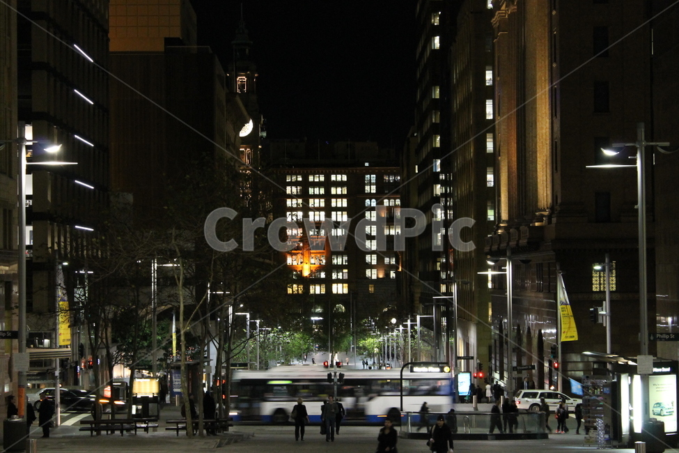 town,metropolis,building,urban,city,officebuilding,시드니야경,시드니,sydney,sydneynightview,nightscenery,nightscape,person,사람,보행자,pedestrian,인간,human,road,도로,야경,밤,풍경,nightscape,night,landscape,도시,city