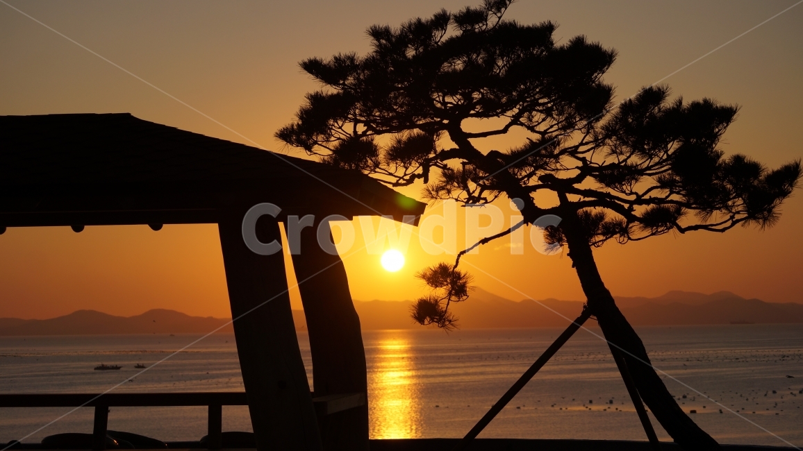 새해,일출,해돋이,자연,풍경,자연,풍경,nature,landscape,outdoors,옥외,dawn,새벽,sunset,일몰,red sky,붉은 하늘,sky,하늘,dusk,황혼,sunlight,햇빛