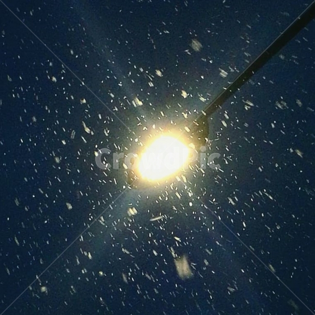 가로등,밤,눈,무드,하늘,눈바람,무드등,풍경,겨울,계절,winter,season,야경,밤,풍경,nightscape,night,landscape,flare,플레어,light,빛