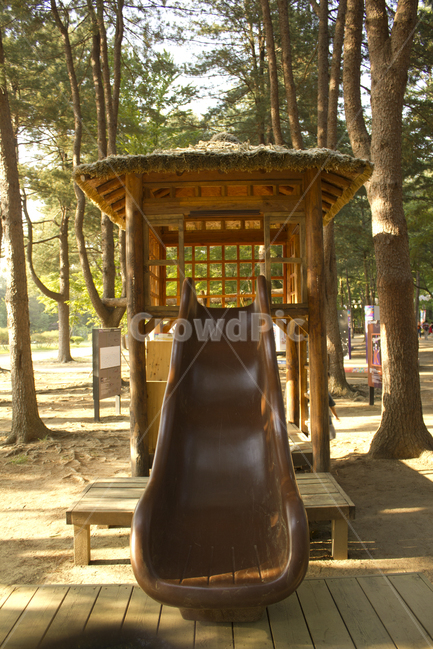 섬,남이섬,춘천,나미나라,한국,대한민국,자연,숲,나무,식물,놀이터,미끄럼틀,놀이기구,공원,실외,야외