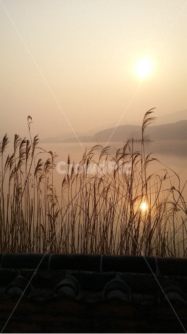 자연,nature,노을,sunset,호수,lake,갈대,양평,두물머리