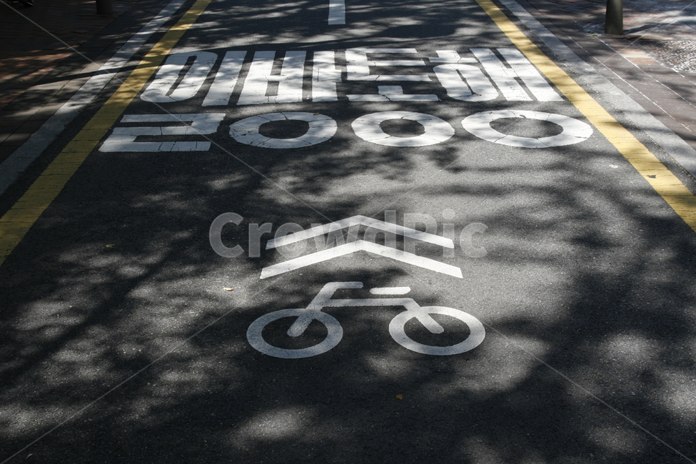 oneway street,road markings,priority road,bicycle,Oneway