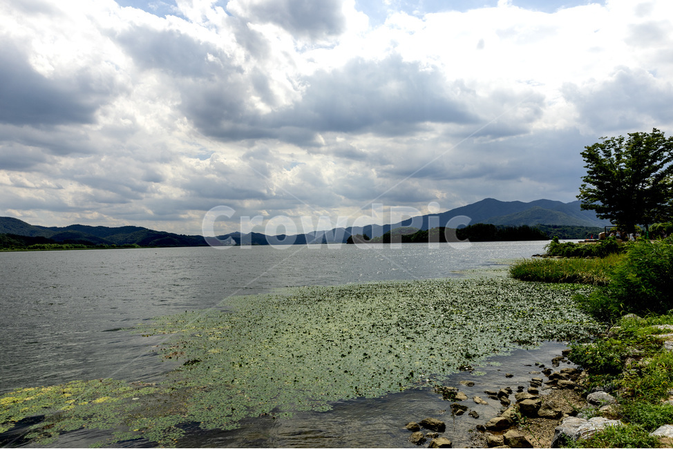 land,nature,water,두물머리,자연풍경,구름,강,수초,자연,풍경,nature,landscape,outdoors,옥외,땅,물