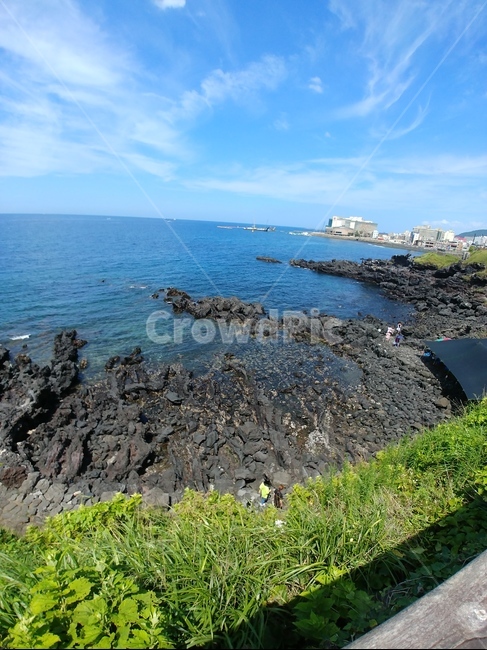제주도,자연,바다,맑음,푸른바다