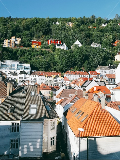 북유럽마을,동화집,산,자연,전경,풍경,마을,집,house,roof,지붕