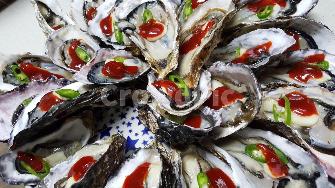 굴,생굴,석화,해산물,안주,food,음식,sealife,해양생물,seafood,해물,식재료,초장,고추