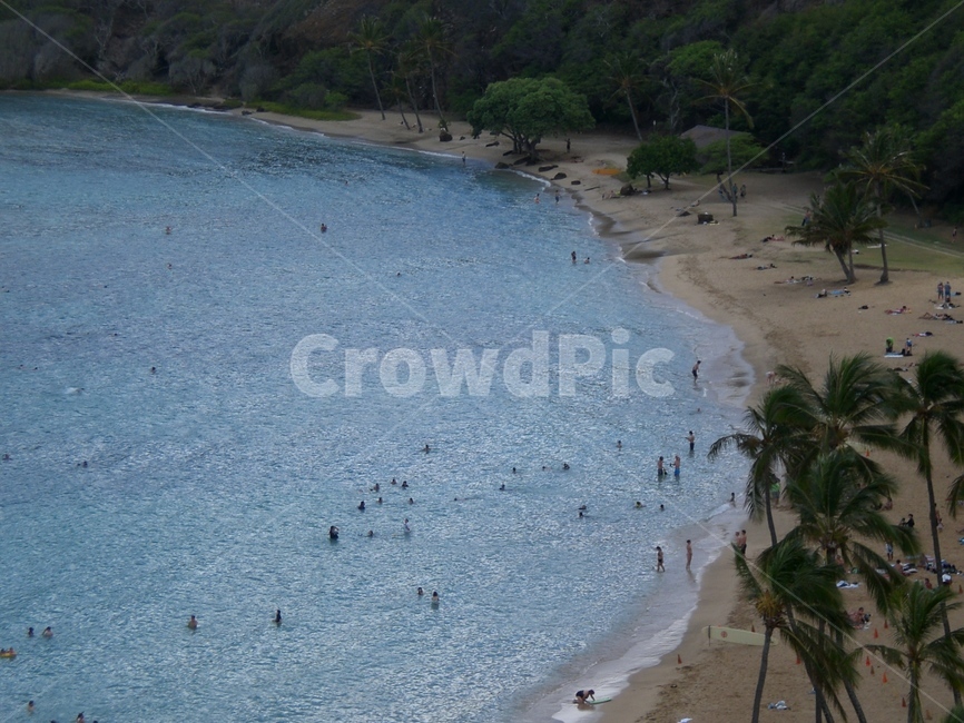 하와이,호놀룰루,와이키키,하나우마베이,hawaii,자연,풍경,nature,landscape,해변,바다,beach,sea,해외,외국,세계,foreign,oversea,world,세계자연풍경,해외자연풍경,외국자연풍경,world nature landscape,water,물,shoreline,해안선,land,땅,outdoors,옥외,ocean,대양,summer,여름