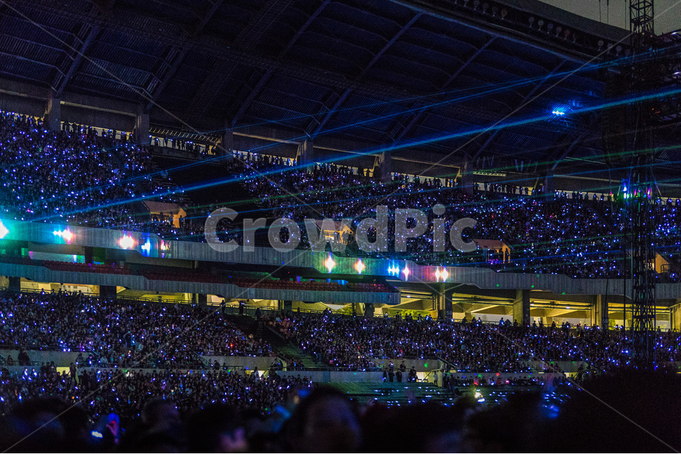축제,관중,관객,공연,콘서트,문화예술,박수,빛,사람들,음악축제,춤,파티,퍼포먼스,활력,환호,흥분,무대,혼잡,무대조명,조명기구,군중,concert,사람들,대중,군중,other people,crowd,축제,행사,festival,carnival,event
