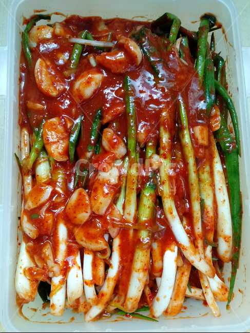 쪽파,파김치,식물,음식,food,plant,음식,식재료,요리,food,cook,meal,dishes,food reserves
