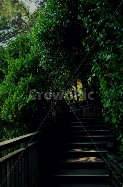 숲,산책로,계단,자연,식물,자연,풍경,nature,landscape,outdoors,옥외,handrail,난간,banister