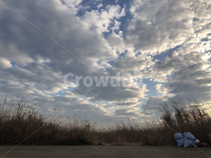 자연,옥외,나무,wood,날씨,weather,하늘,가을하늘,가을,sky,autumn,nature,outdoors