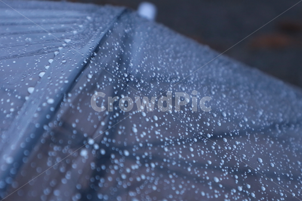 빗방울,여름,우산,비,umbrella,rain,drops,summer,rainy,raindrops,비,비오는날,rain,rainy