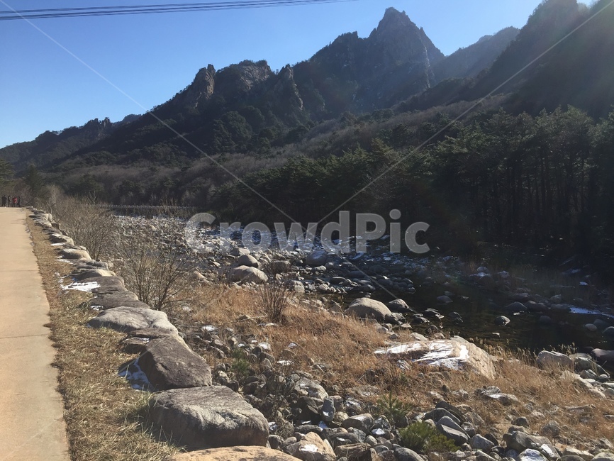 길,나무,산,풍경,햇빛,자연,풍경,nature,landscape,rubble,파편,ground,바닥