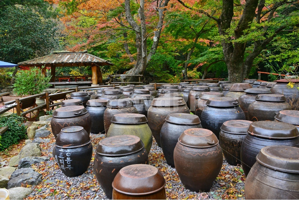 nature,자연,outdoors,옥외,가을,추색,만추,단풍,정자,옹기,항아리,돤장독
