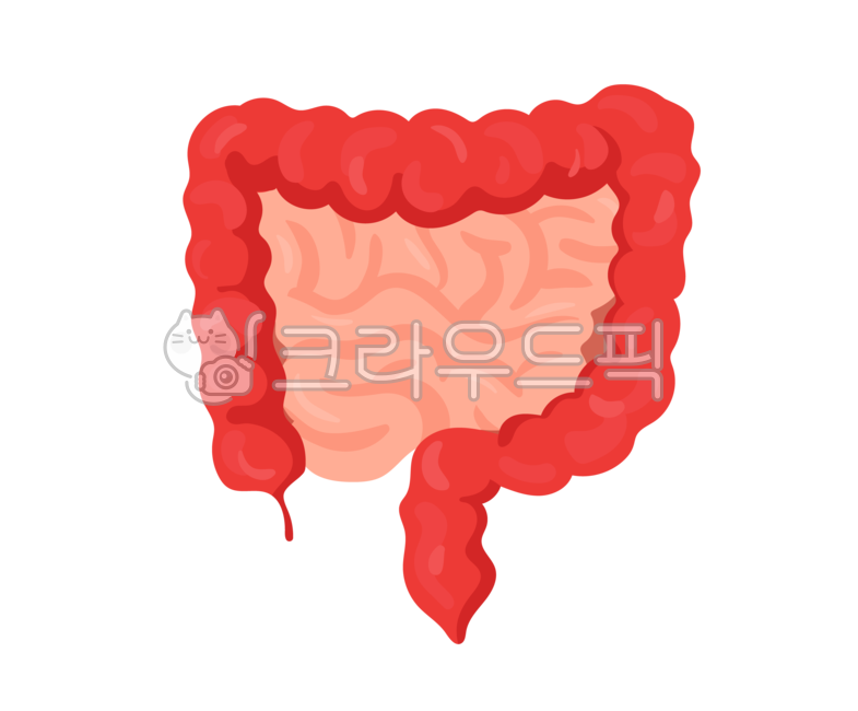대장,장,소장,장염,사람,기관,장기,인체,내부,일러스트,일러스트레이션,드로잉,디자인,핸드드로잉,배너,이벤트,프로모션,팝업,배너이벤트,배너디자인,프로모션디자인,모바일,모바일디자인,어플,디자인소스,소스,디자인소스다운,그래픽,event,design,promotion,banner,popup,app,designsorce,drawing