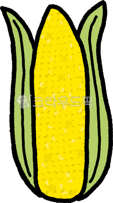 Corn,Corn Farm,Corn Painting,Summer,Sweet Corn,Gangwon-do
