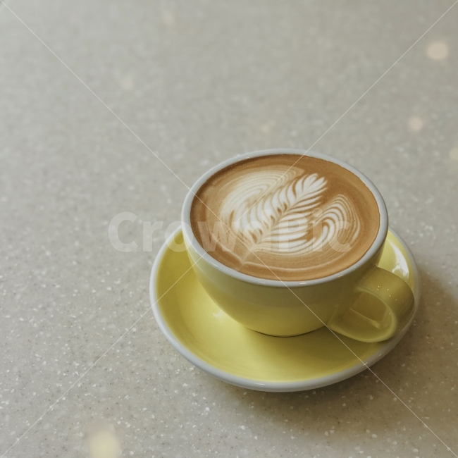 로제타,나뭇잎,쉼,여유,카페,커피,카페,coffee,cafe