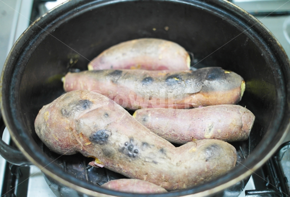 고구마,군고구마,냄비,직화냄비,호박고구마,겨울,계절,winter,season,음식,식재료,요리,food,cook,meal,dishes,food reserves
