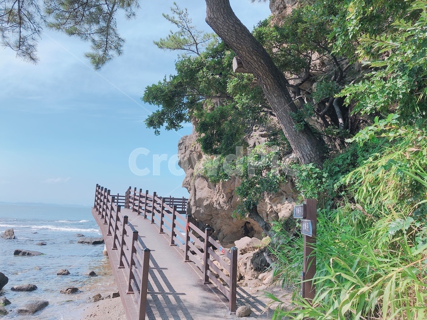 풍경,바다,해안산책로,자연,바다위다리,nature,coastalpromenade,자연,풍경,nature,landscape