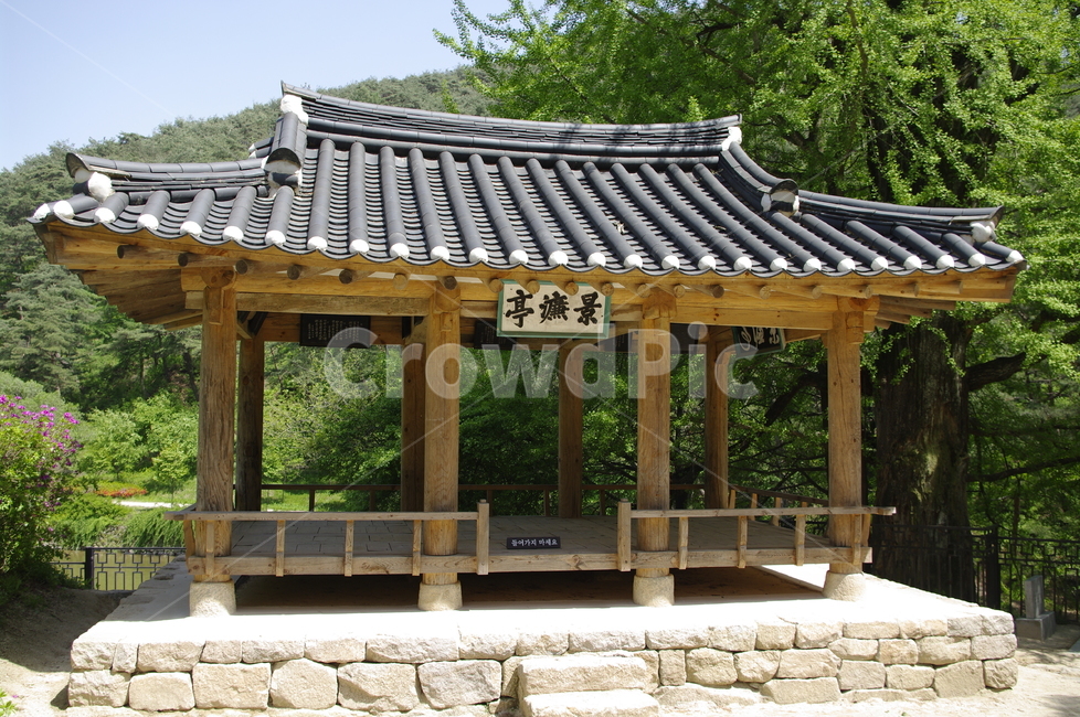 소수서원,서원,건축,전통건축,traditional,전통,기와지붕,초록,나무,잎,한국전통,한국문화,korean traditional,korean culture,건축물,건물외관,exterior,building,structure,architecture,construction