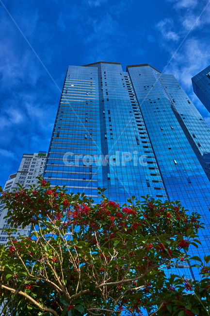 부산,건물,빌딩,하늘,구름,도시,건축물,건물외관,exterior,building,structure,architecture,construction