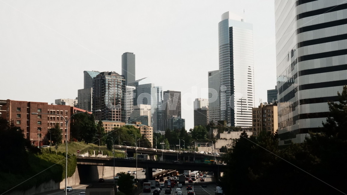 도시,빌딩,마천루,시애틀,seattle,city,building,film,감성사진,다운타운,downtown,필름
