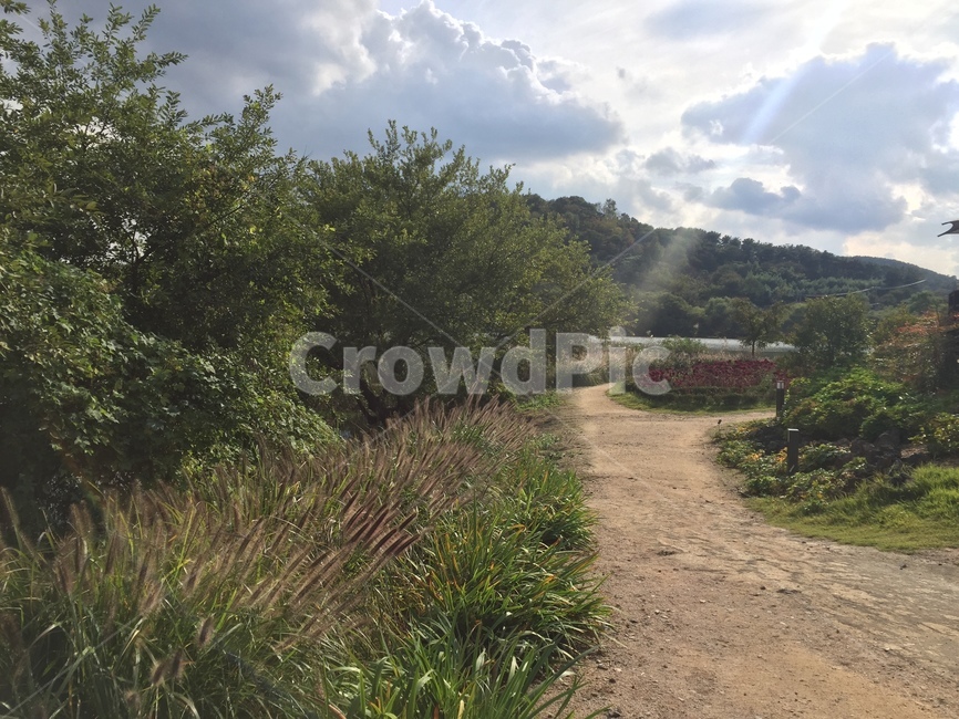 자연,풍경,길,나무,nature,자연,풍경,nature,landscape,ground,바닥,dirt road,흙길,road,도로,gravel,자갈