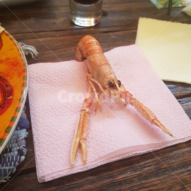 바다새우,가시발새우,해산물,요리,새우요리,scampi,해산물요리,음식,식재료,요리,food,cook,meal,dishes,food reserves,수산물,해산물,fishery products,seafood