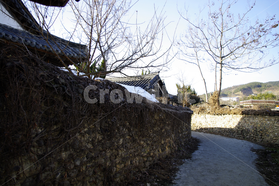 마을,돌담,길,돌담장,돌담길,담쟁이넝쿨,한국전통,한국문화,korean traditional,korean culture,건축물,건물외관,exterior,building,structure,architecture,construction