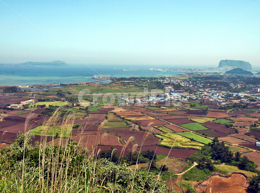 두산봉,오름,제주,올레1코스,자연,들,나무,밭,성산일출봉,바다,제주도,jeju,jeju island,landscape,경치,outdoors,옥외,nature,scenery,풍경,aerial view,조감도