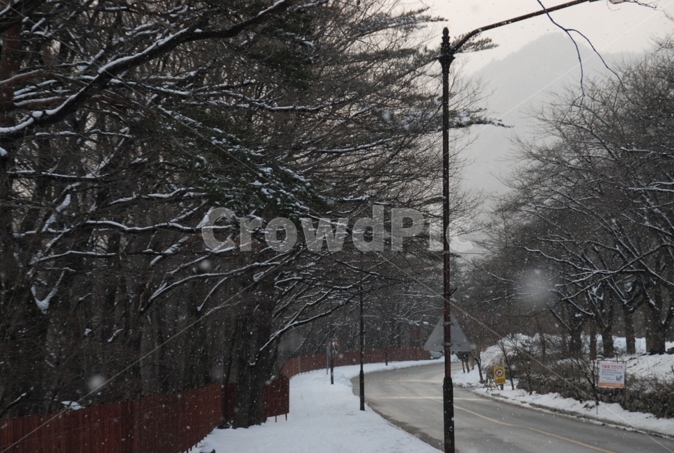 설악산,겨울산,눈,설산,겨울,soraksan,wintermountain,snow,nature,자연,산책로