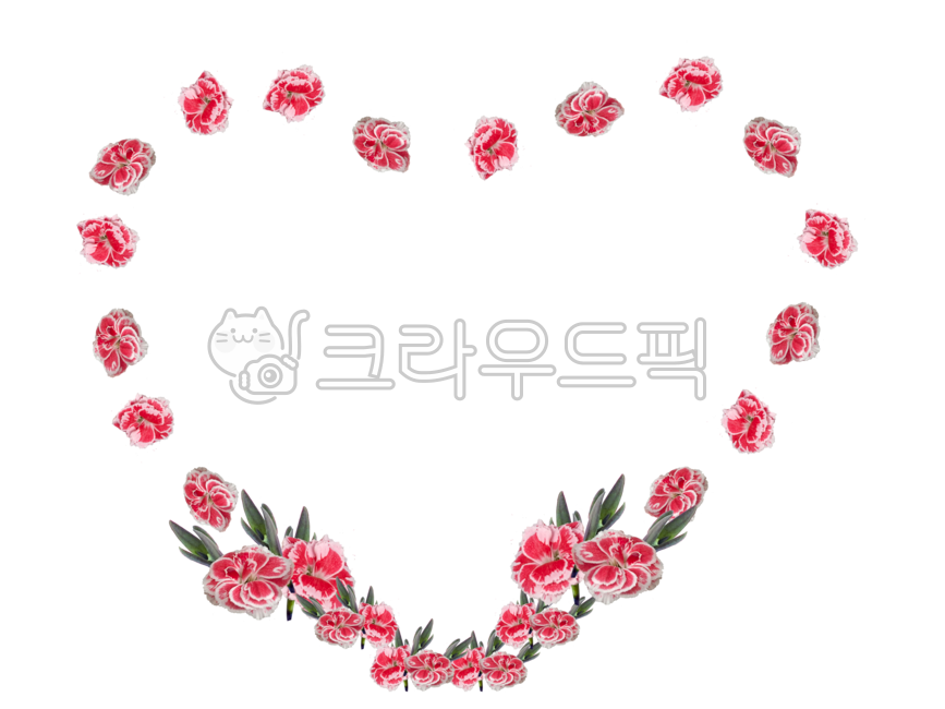 carnation,sauce,bulletinboard,source,framedesign,family communication,nametag,teachingmaterials,notification,flowerborder,stationery,flower border,nameplate,decoration,border,textbook,invitation,cute border,Day care Center,png,flowernametag,Mothers Day,wr