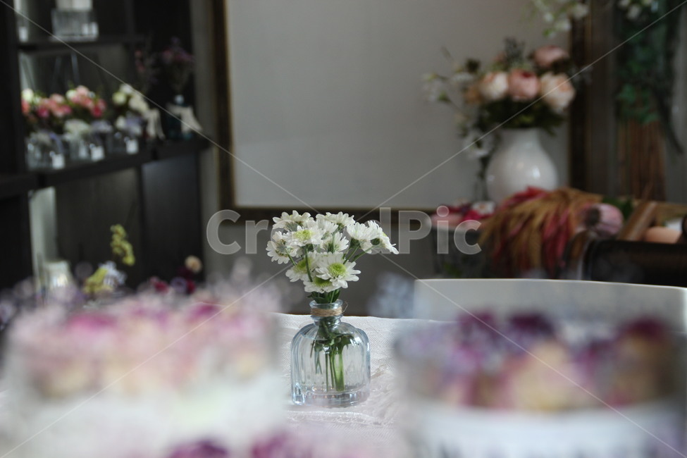 플로라,꽃,소국,향기,카페,전주,flora,flower,chrysanthemum,fragrance,aroma,cafe,jeonju,식물,자연,plants,nature,꽃,flower,실내용화초,화분,화초,house plant,인테리어,실내디자인,interior design