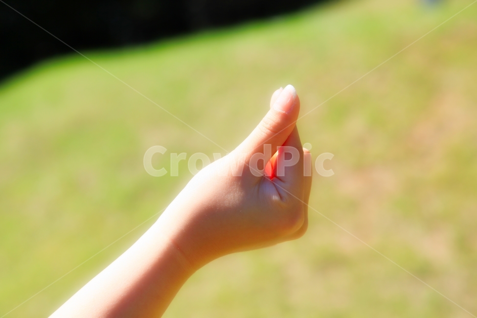 손가락,손하트,하트,손,이미지,사람,인물,인간,human,person,신체일부,몸,body,감정표현,기분,feeling,emotion