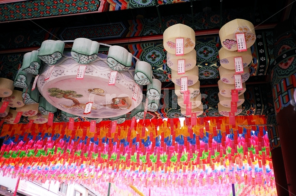 불교,절,사찰,연등,temple,필름,필름사진,film