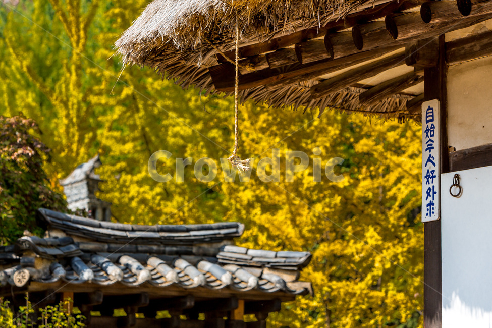 초가집,처마,기와,전통,민속자료,고택,한국전통,한국문화,korean traditional,korean culture,건축물,건물외관,exterior,building,structure,architecture,construction