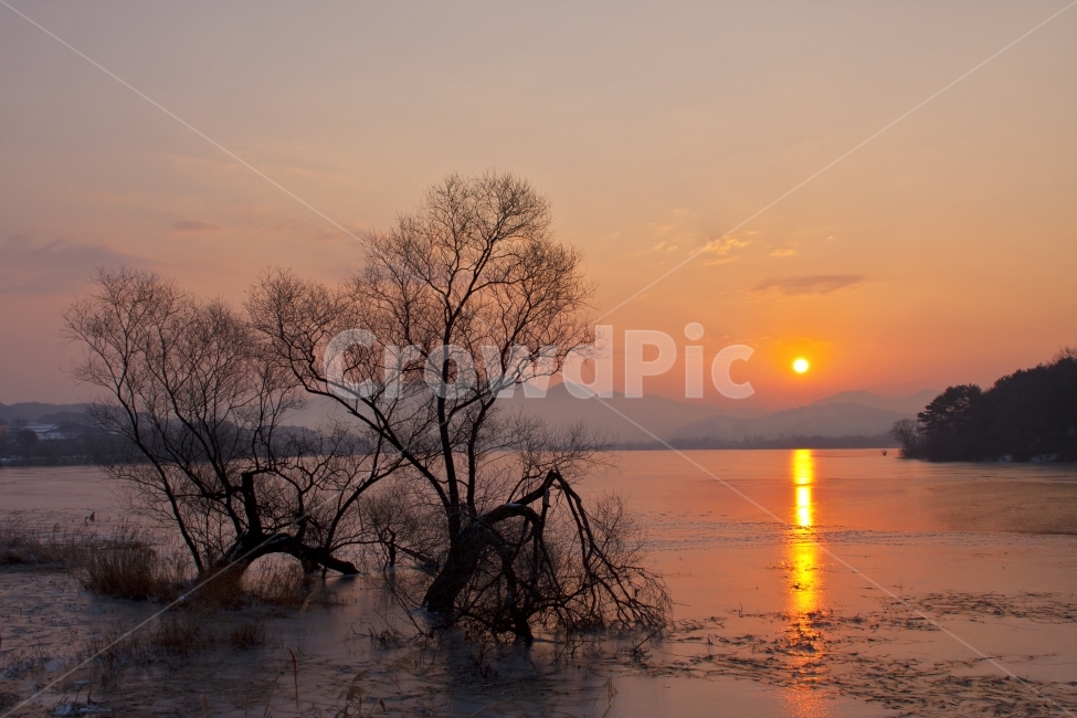 풍경,자연,일출,해,노을,나무,저수지,landscape,sunrise,silhouette,자연,풍경,nature,landscape,한국자연풍경,한국자연경관,korea nature landscape,식물,plants,나무,trees,wood,outdoors,옥외