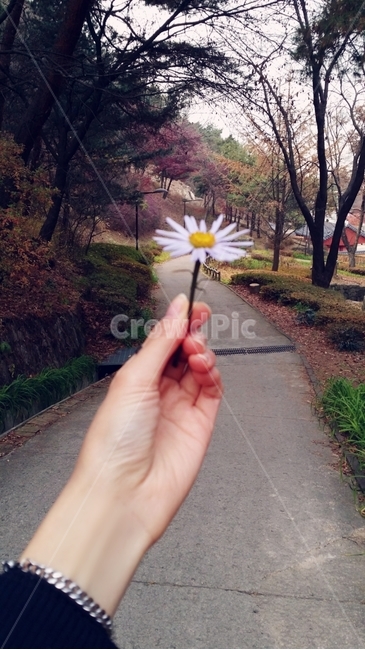꽃,손,나무,길,꽃길,하늘,구름,로드,잔디,식물원,나무그늘,식물,person,사람,human,인간,plant,손모델