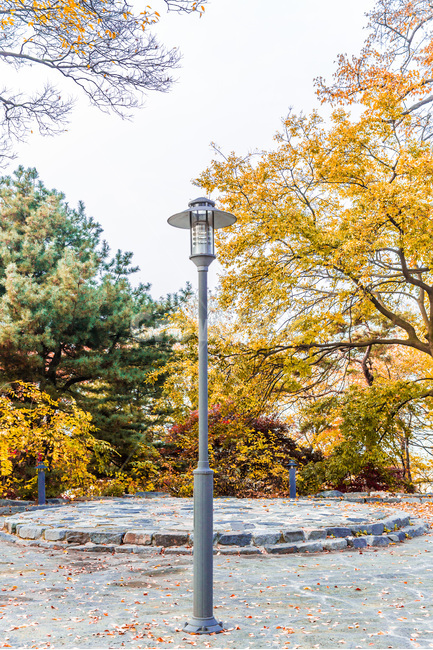 가을,단풍,낙엽,풍경,가로등,힐링,산책로,감성,은행나무,가을,계절,fall,autumn,season,자연,풍경,nature,landscape,lamp post,램프 포스트