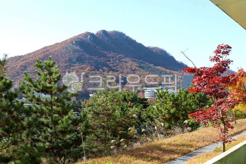 산, 능선, 숲, 나무, 단풍, 사진,이미지,일러스트,캘리그라피 - vvind작가