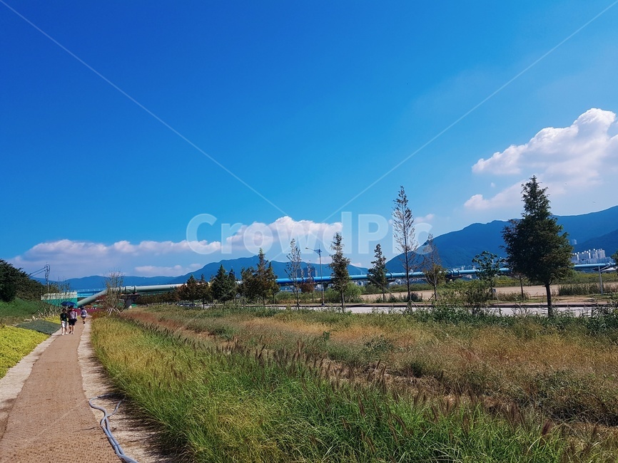 산책길,산책,하늘,나무,풍경