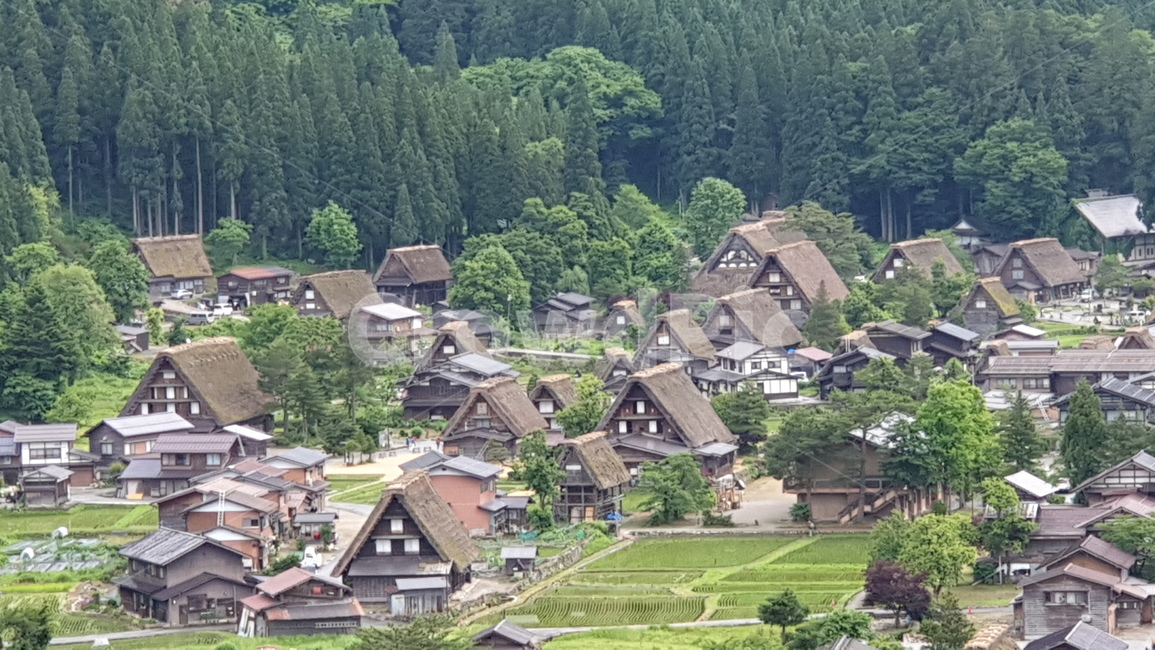 nature,자연,outdoors,옥외,building,건물,시라카와고,나고야근교,시라카와고합장촌,논,집,유네스코문화유산,세계문화유산