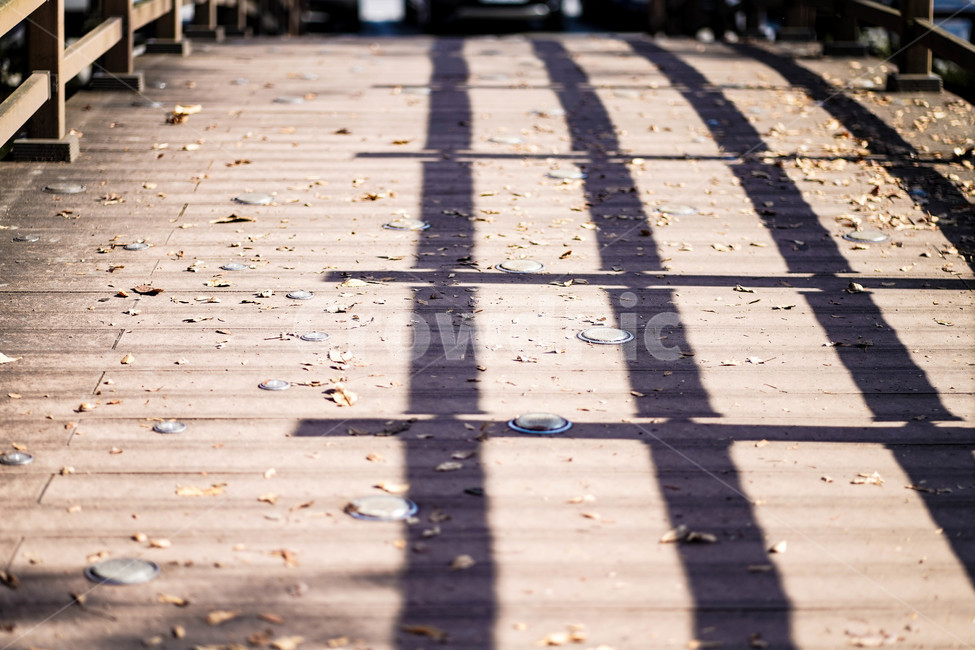 다리,나무다리,나무,wood,통로,path,가을,계절,fall,autumn,season
