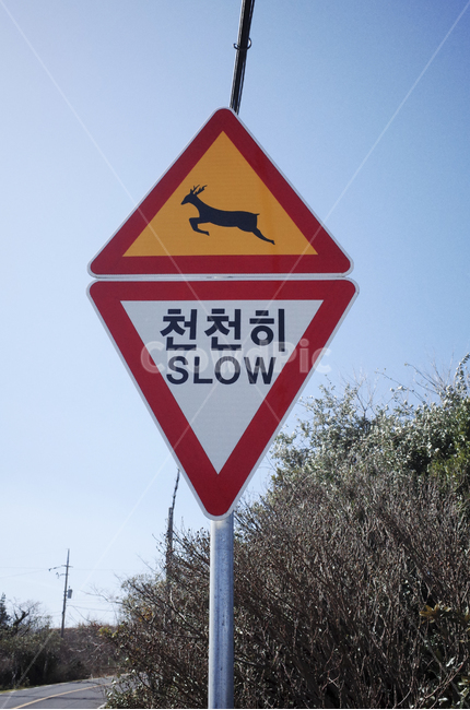 symbol,상징,roadsign,도로표지판,sign,기호,천천히,slow,야생동물