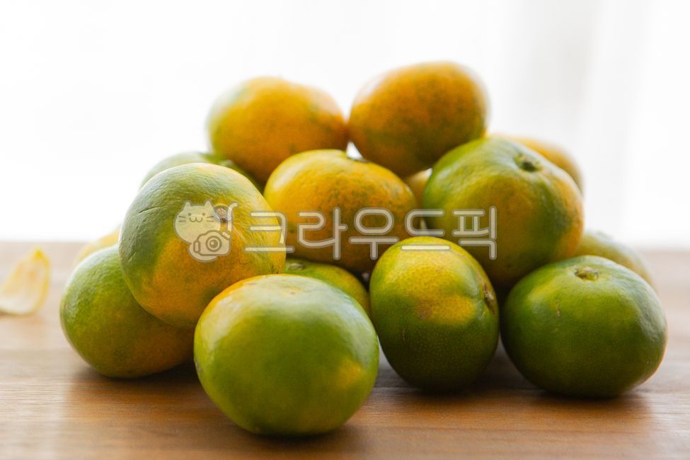 귤,청귤,제주특산물,제주도,제주도특산물,햇귤,감귤,초록귤,과일,감금류,식물,감귤류과일,음식,citrus,citrusfruit,food,fruit,plant